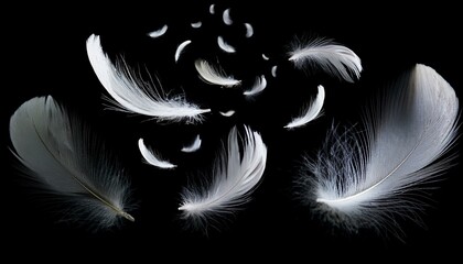 Obraz premium White Feathers isolated against a black background. Floating feathers. Falling bird feathers. Bokeh. Motion blur. Bird, angel or demon feathers. Fantasy glowing feathers floating down. See Less 