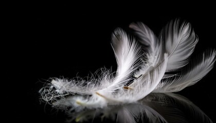 Obraz premium White Feathers isolated against a black background. Floating feathers. Falling bird feathers. Bokeh. Motion blur. Bird, angel or demon feathers. Fantasy glowing feathers floating down. See Less 