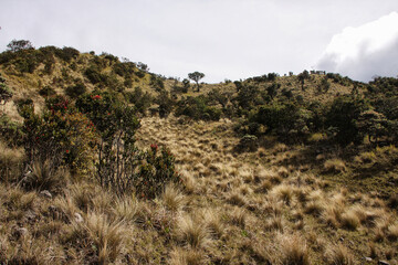 landscape with mountains