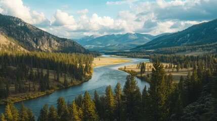 The picturesque Yellowstone River winding through a forested valley, with mountains in the background.