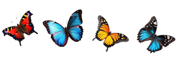 Fototapeta premium Collection of vibrant colors Butterflys isolate on transparency background