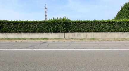 Fence consisting by a long concrete block wall with railing and hedge above. Sidewalk and road in...