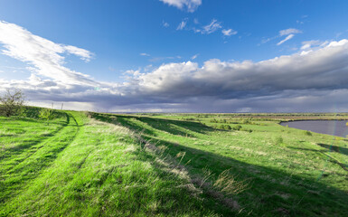Obraz premium A field of grass with a cloudy sky in the background