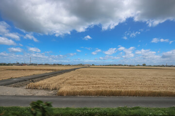 Oita Field Farm, Cultivating Yufuin Sustainable Agriculture May 16 2024