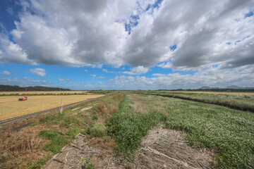 Oita Field Farm, Cultivating Yufuin Sustainable Agriculture May 16 2024
