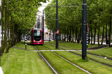 Red tram moving along a green, tree-lined street, representing a blend of modern transportation amidst urban greenery, showcasing sustainability and public transport in Rotterdam