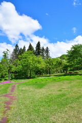 根小屋　花と緑と雪の里（新潟県）