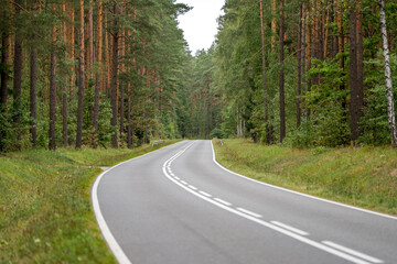 Naklejka premium An asphalt road going through a forest in Masuria