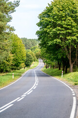 An asphalt road going through a forest in Masuria