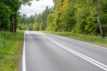 An asphalt road going through a forest in Masuria