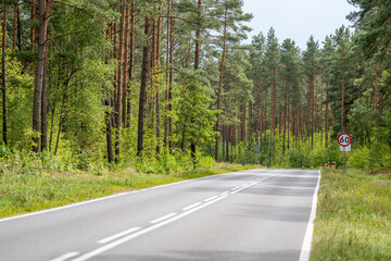 An asphalt road going through a forest in Masuria