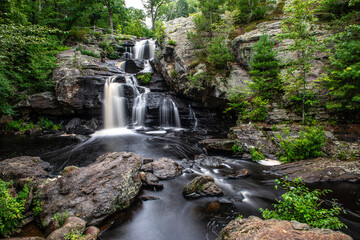 waterfall in the forest