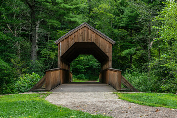 wooden bridge in the park