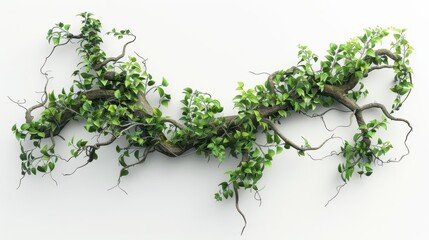 twisted jungle vine sprouts lush foliage intricate details on white backdrop hyperrealistic rendering captures natures complexity in isolated studiolike setting