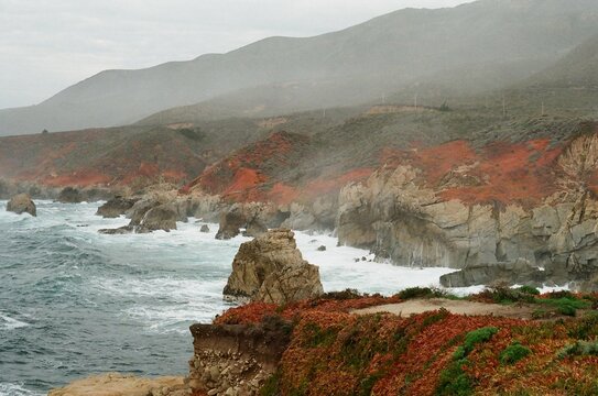 Garrapata State Park Bluff Trail