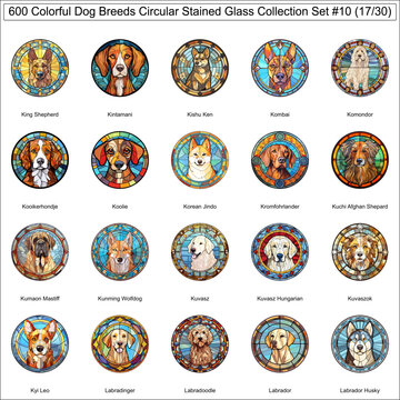 Colorful Dog Breeds Circular Stained Glass Dogs Bundle Collection Set 10 of 600 Dog Faces Isolated Part 17