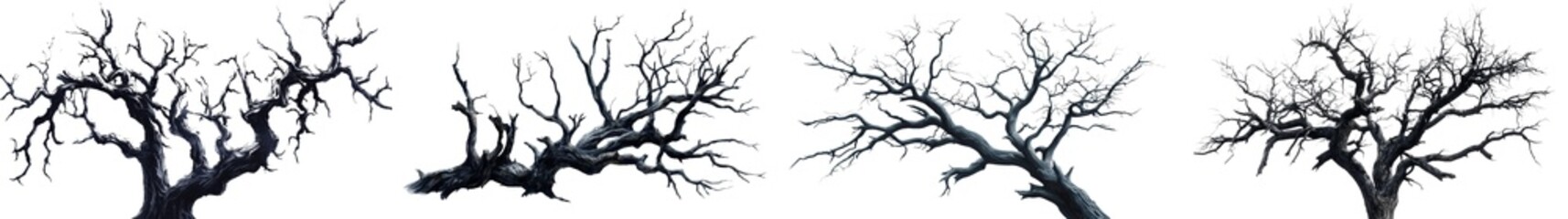Obraz premium A dead spooky tree isolated on a white background or transparent background