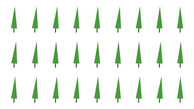 Paper Pine Fir Forest sway by wind breeze aligned in grid as Animated Background motion graphic