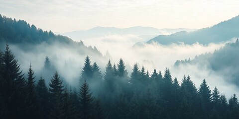 A dense forest blanketed in mist, with the silhouettes of mountains emerging in the background, captures a mystical morning ambiance.