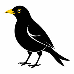 Myna Black silhouette