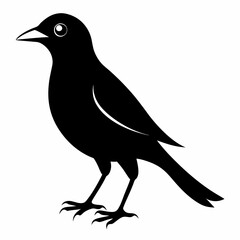 Myna Black silhouette