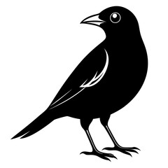 Myna Black silhouette