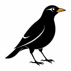 Myna Black silhouette