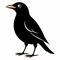 Myna Black silhouette