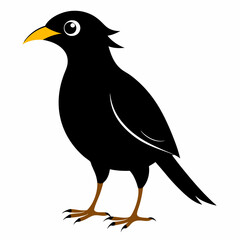 Myna Black silhouette