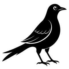 Cuckoo Black silhouette