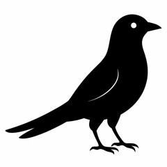 Cuckoo Black silhouette