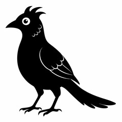Cuckoo Black silhouette