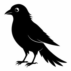Cuckoo Black silhouette
