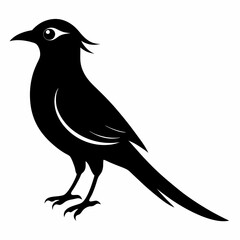 Cuckoo Black silhouette
