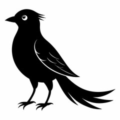 Cuckoo Black silhouette