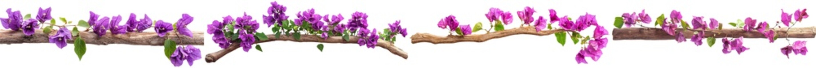 The natural beauty of blooms combined with the elegance of trellises