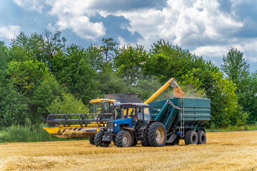 Obraz premium Tractor harvesting crop fields under a cloudy sky in summer. A blue tractor hauls harvested grain against lush trees and a cloudy sky