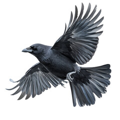 Fototapeta premium In a dynamic mid-air position, coal is captured on transparent PNG.