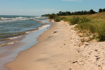 Kohler-Andrae State Park beach area, summer 2016, grown over with vegetation