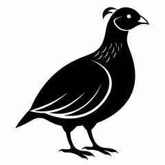 Quail Black silhouette