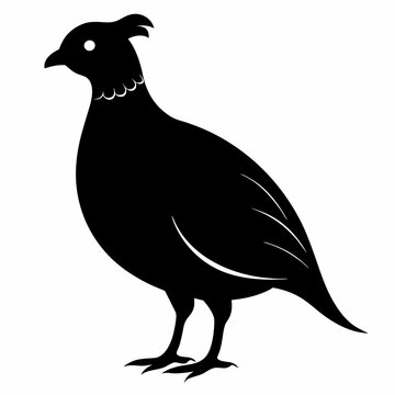 recommend clip art: Quail Black silhouette