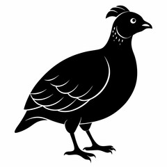Quail Black silhouette