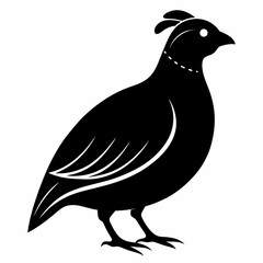 Quail Black silhouette