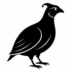 Quail Black silhouette