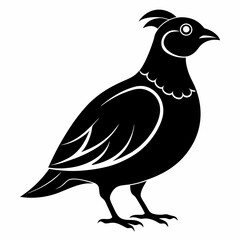 Quail Black silhouette