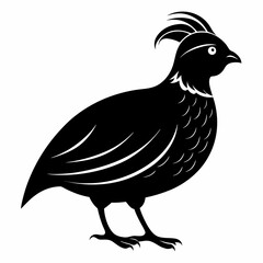 Quail Black silhouette