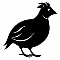Quail Black silhouette