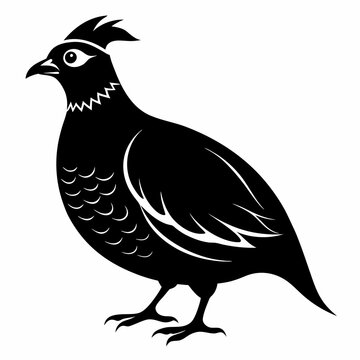 recommend clip art: Quail Black silhouette