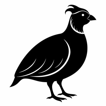 recommend clip art: Quail Black silhouette