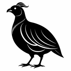 Quail Black silhouette